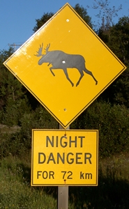 Night danger